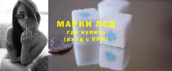 ECSTASY Белокуриха