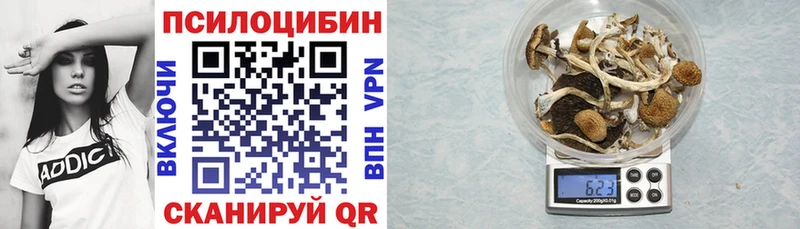Псилоцибиновые грибы мицелий  Севск 